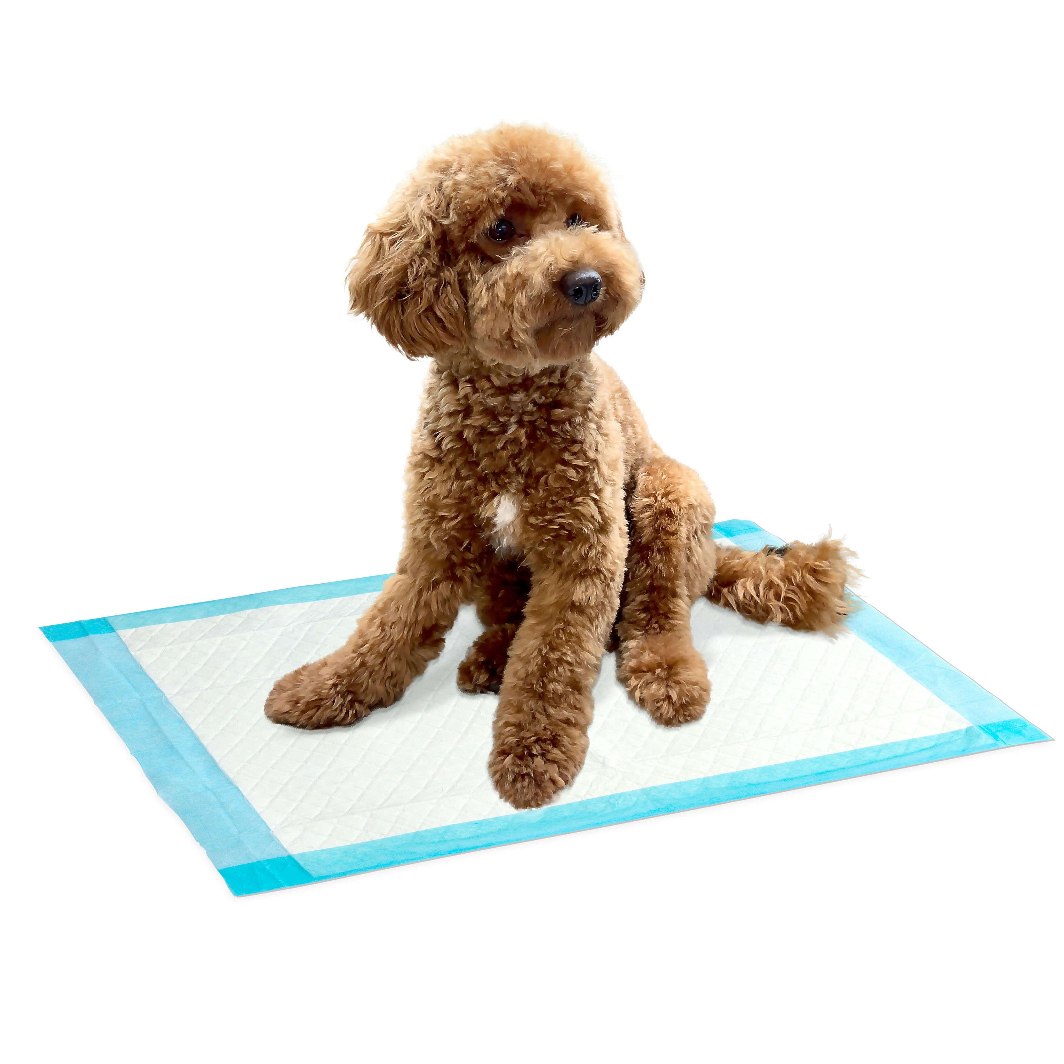 Sofex Krankenunterlagen Blau